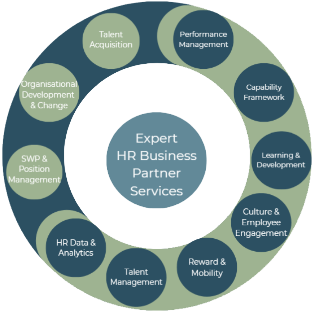 Overzicht van HR Business Partner services, Talent Management, Performance Management en HR Data Analytics